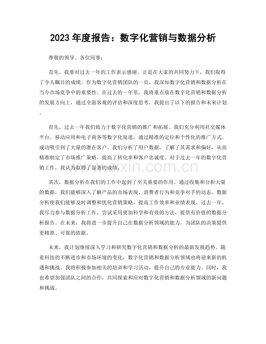 2023年度报告：数字化营销与数据分析.docx_第1页