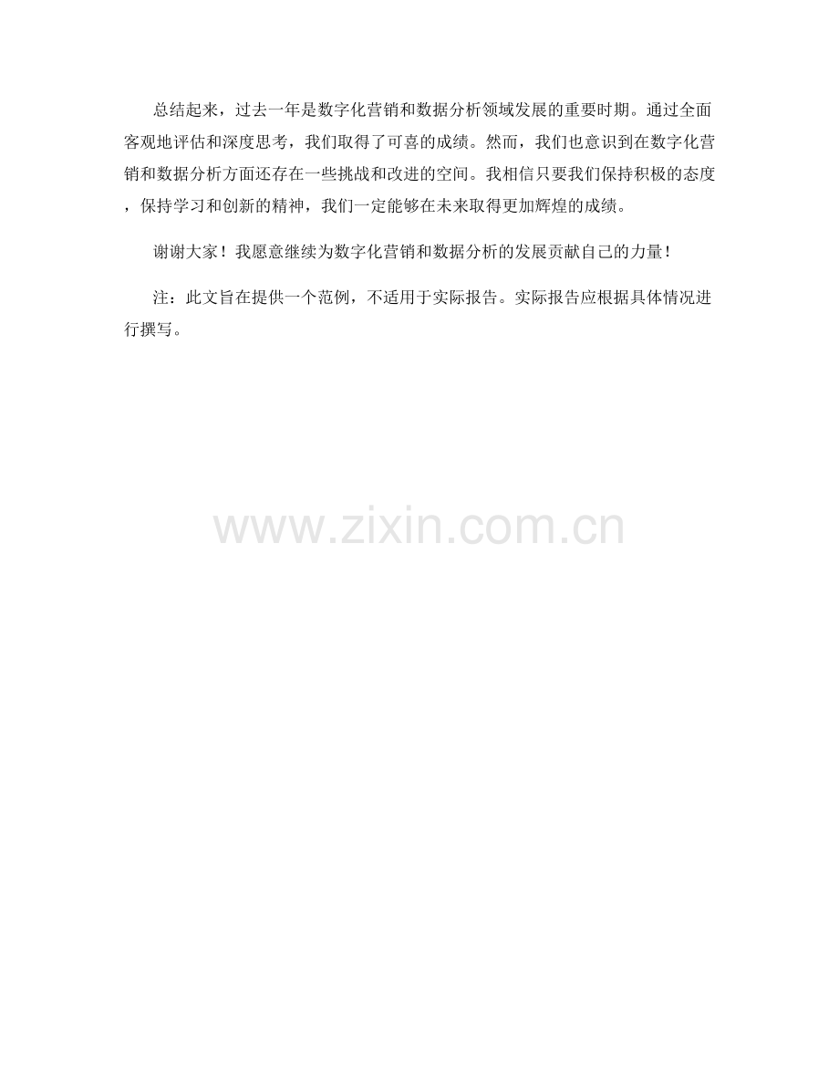 2023年度报告：数字化营销与数据分析.docx_第2页