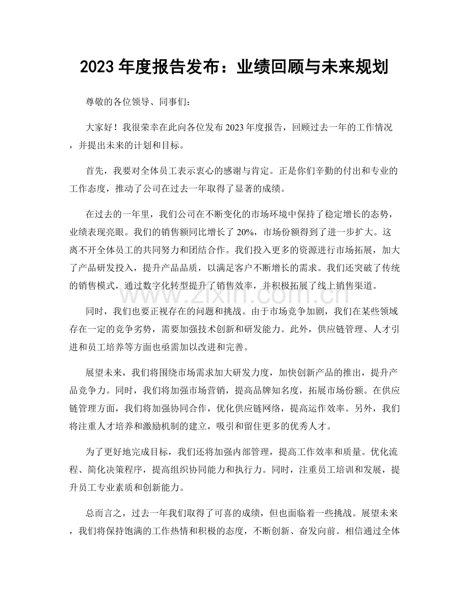 2023年度报告发布：业绩回顾与未来规划.docx_第1页