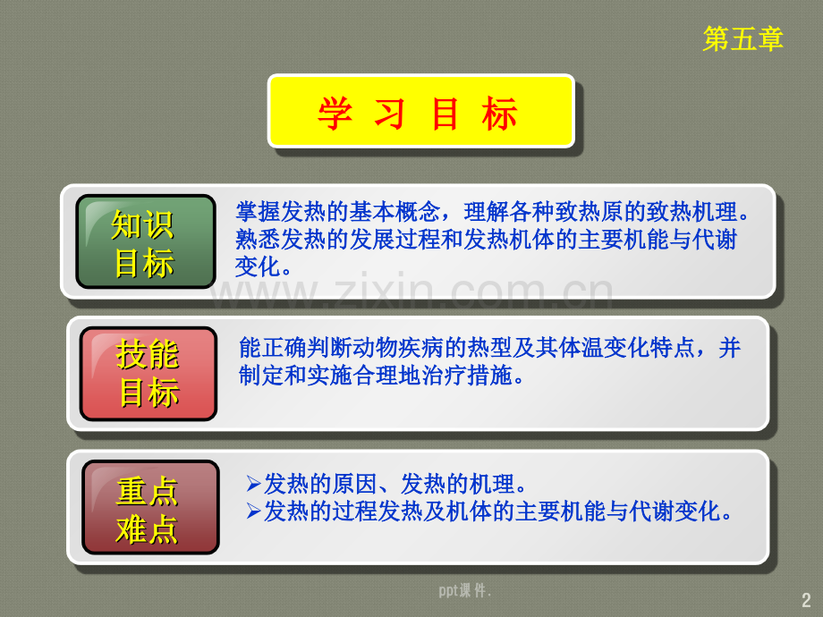 发热的原因与机理幻灯片.ppt_第2页