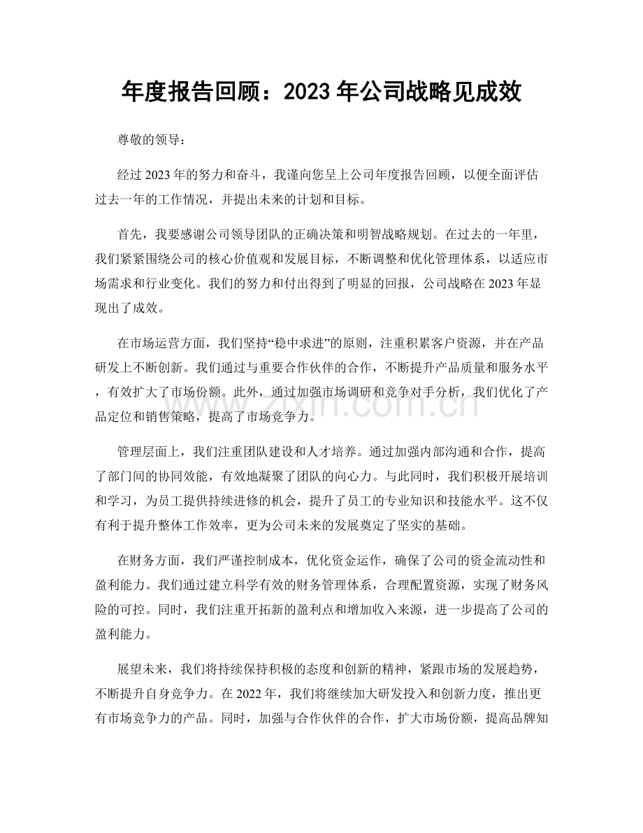 年度报告回顾：2023年公司战略见成效.docx_第1页