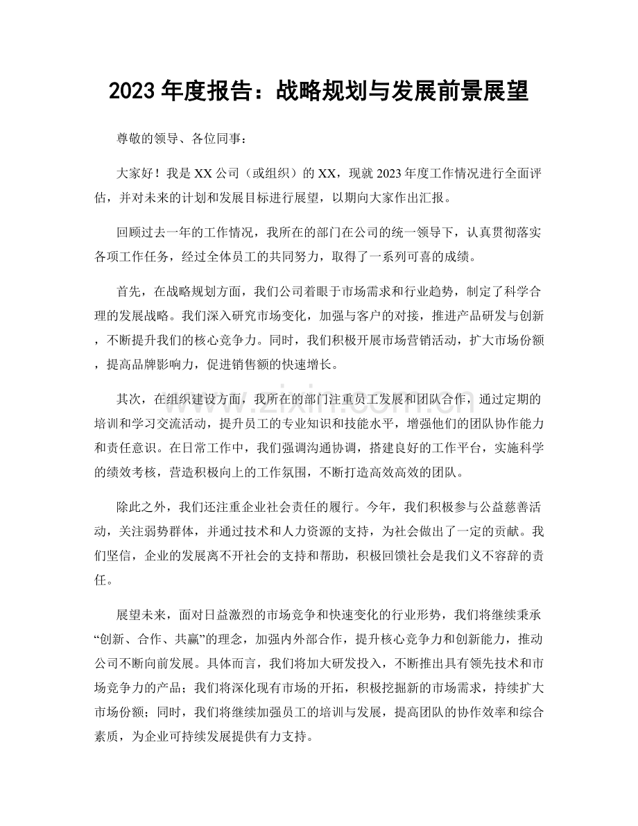 2023年度报告：战略规划与发展前景展望.docx_第1页