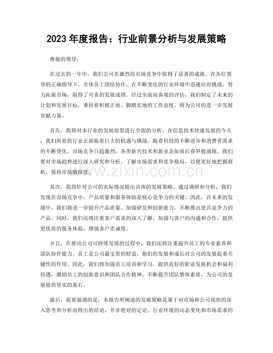 2023年度报告：行业前景分析与发展策略.docx_第1页