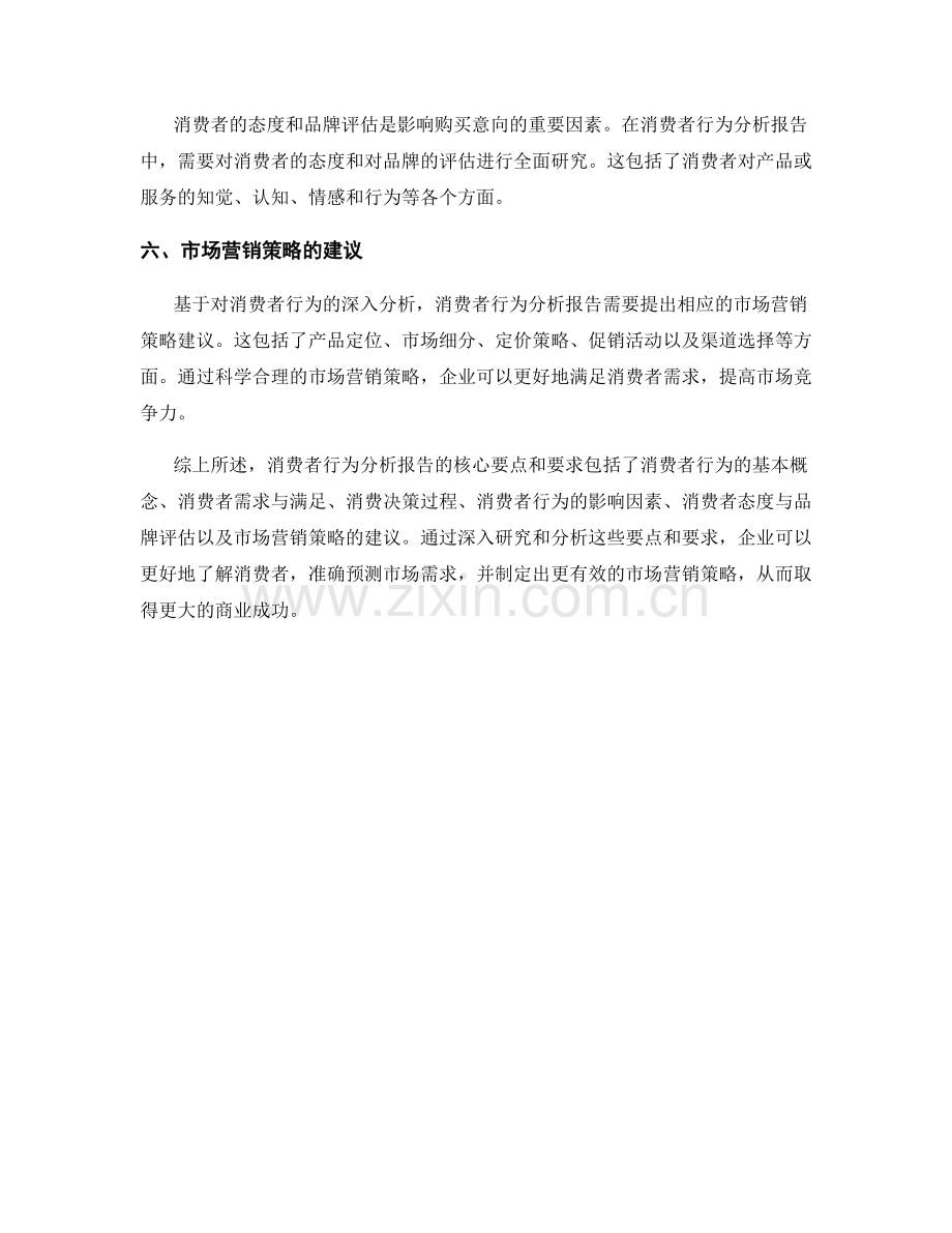 消费者行为分析报告的核心要点与要求.docx_第2页