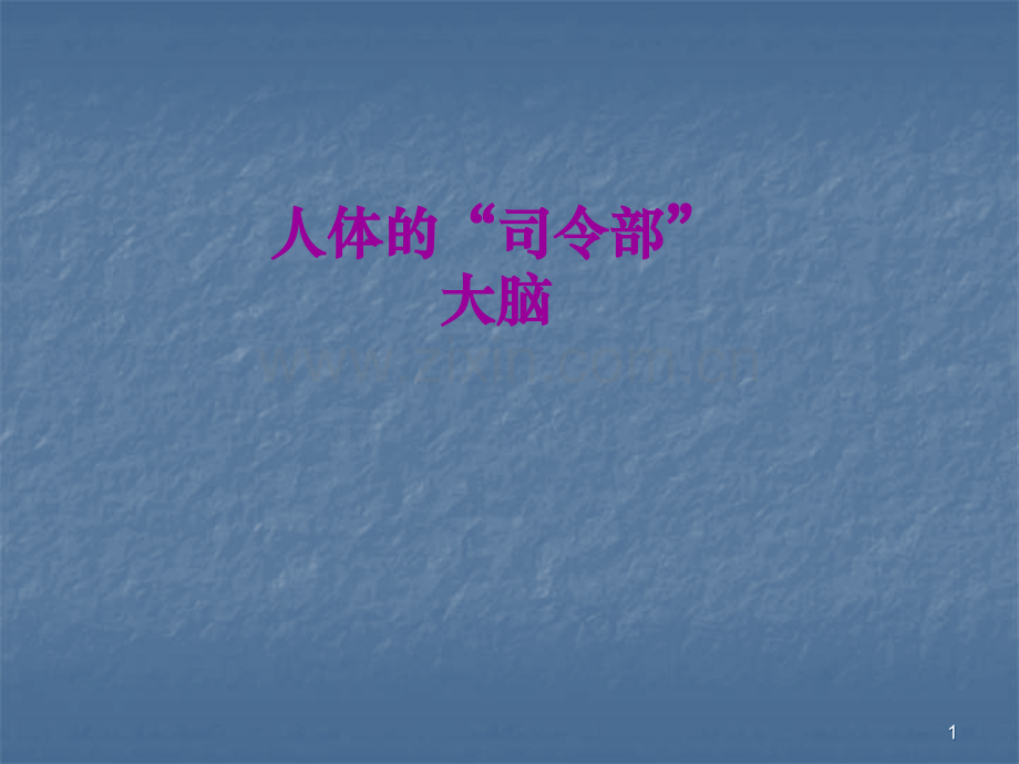 科学大脑ppt课件.ppt_第1页