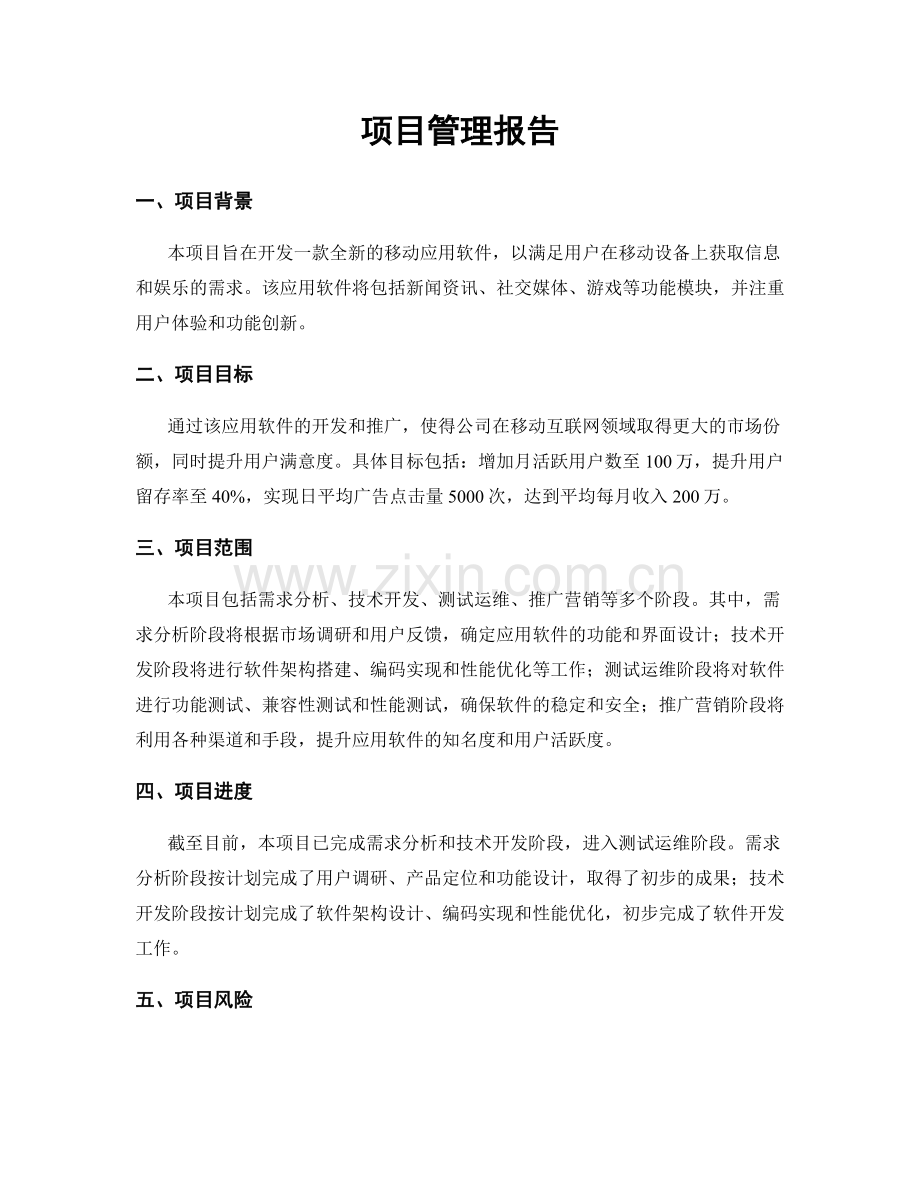 项目管理报告.docx_第1页