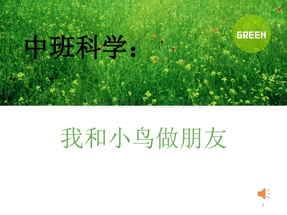 中班科学我和小鸟做朋友.ppt_第1页