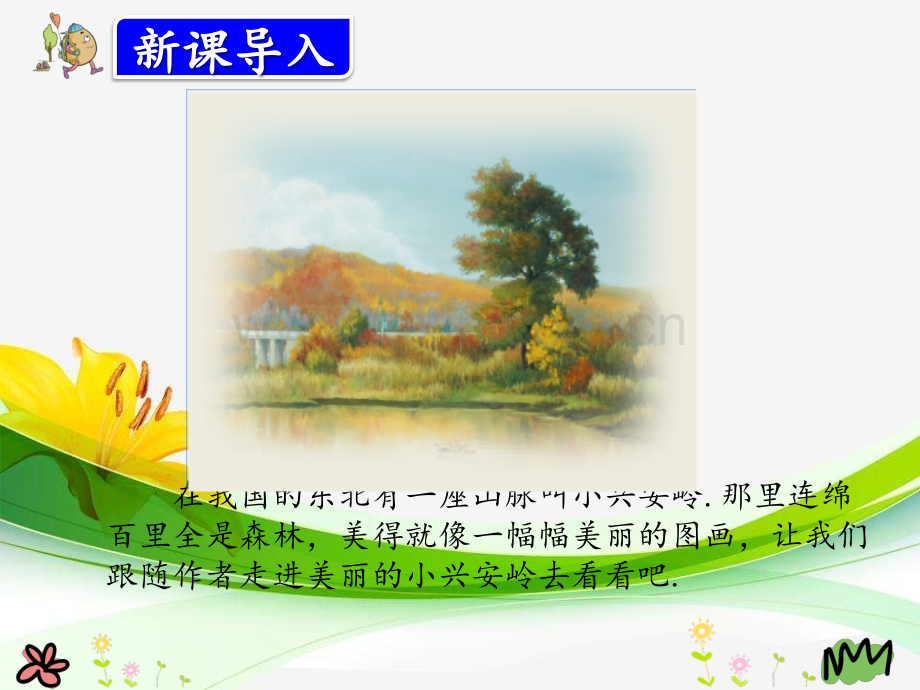 部编人教版三年级语文上册《美丽的小兴安岭》课件.pptx_第2页