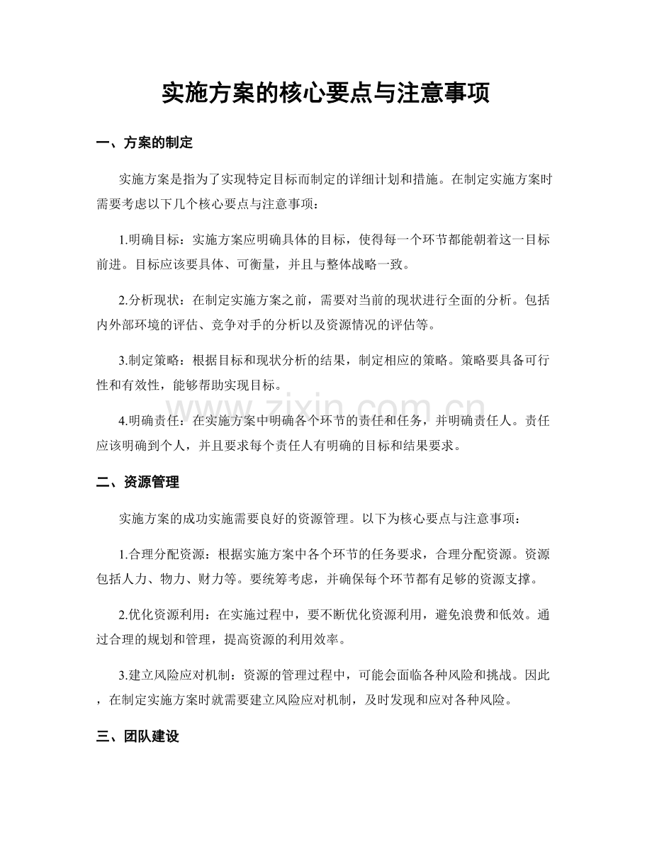 实施方案的核心要点与注意事项.docx_第1页