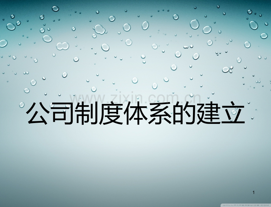 公司制度体系的建立ppt课件.ppt_第1页