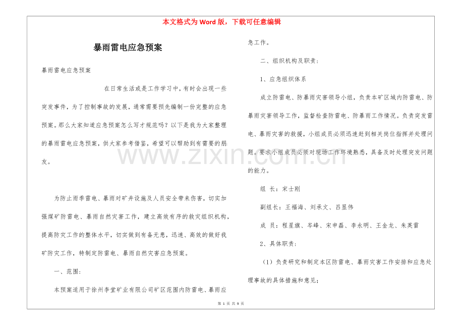暴雨雷电应急预案.docx_第1页