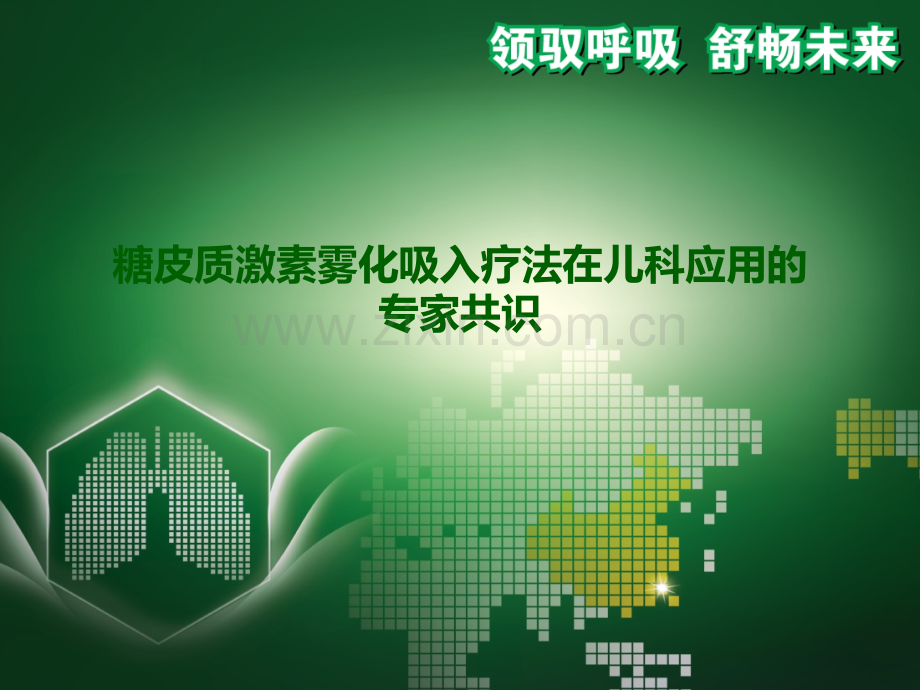 雾化吸入疗法在儿科中的应用PPT课件.ppt_第1页