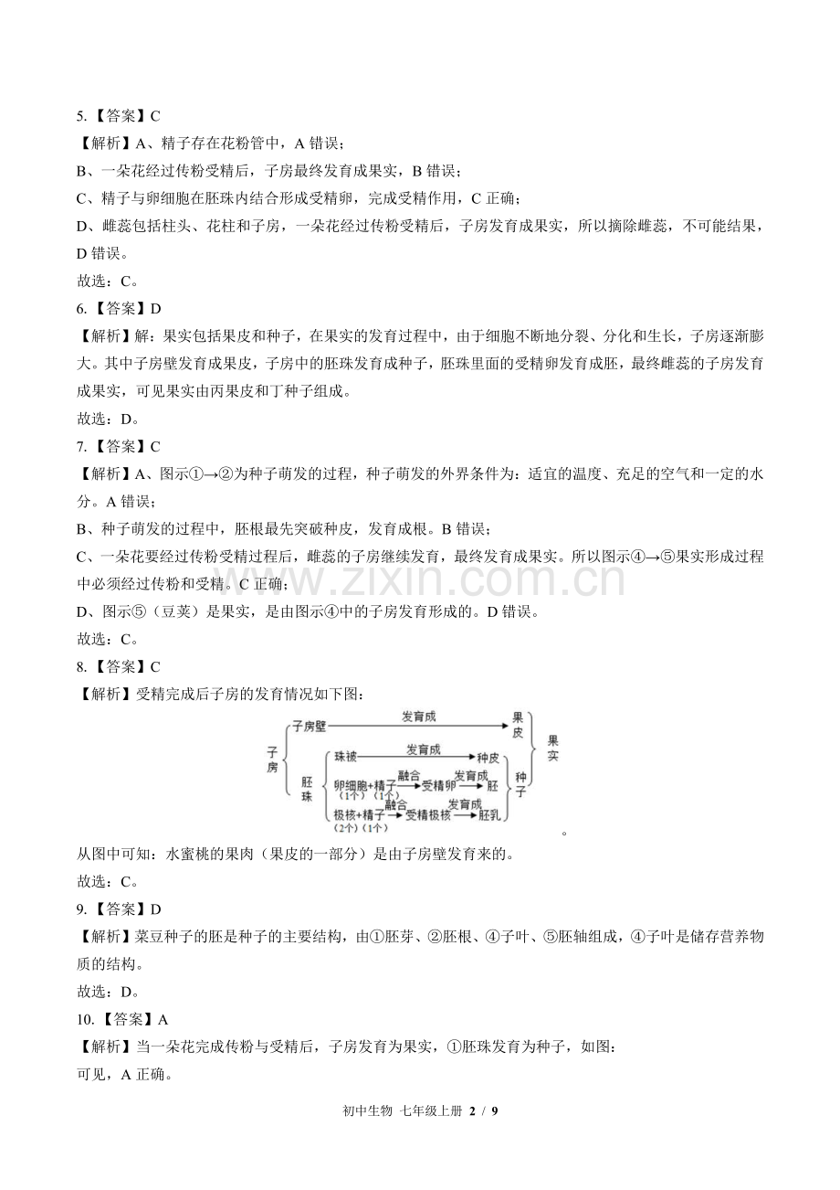 苏教版初中生物七年级上册-第五章综合测试试题试卷含答案-答案在前.pdf_第2页