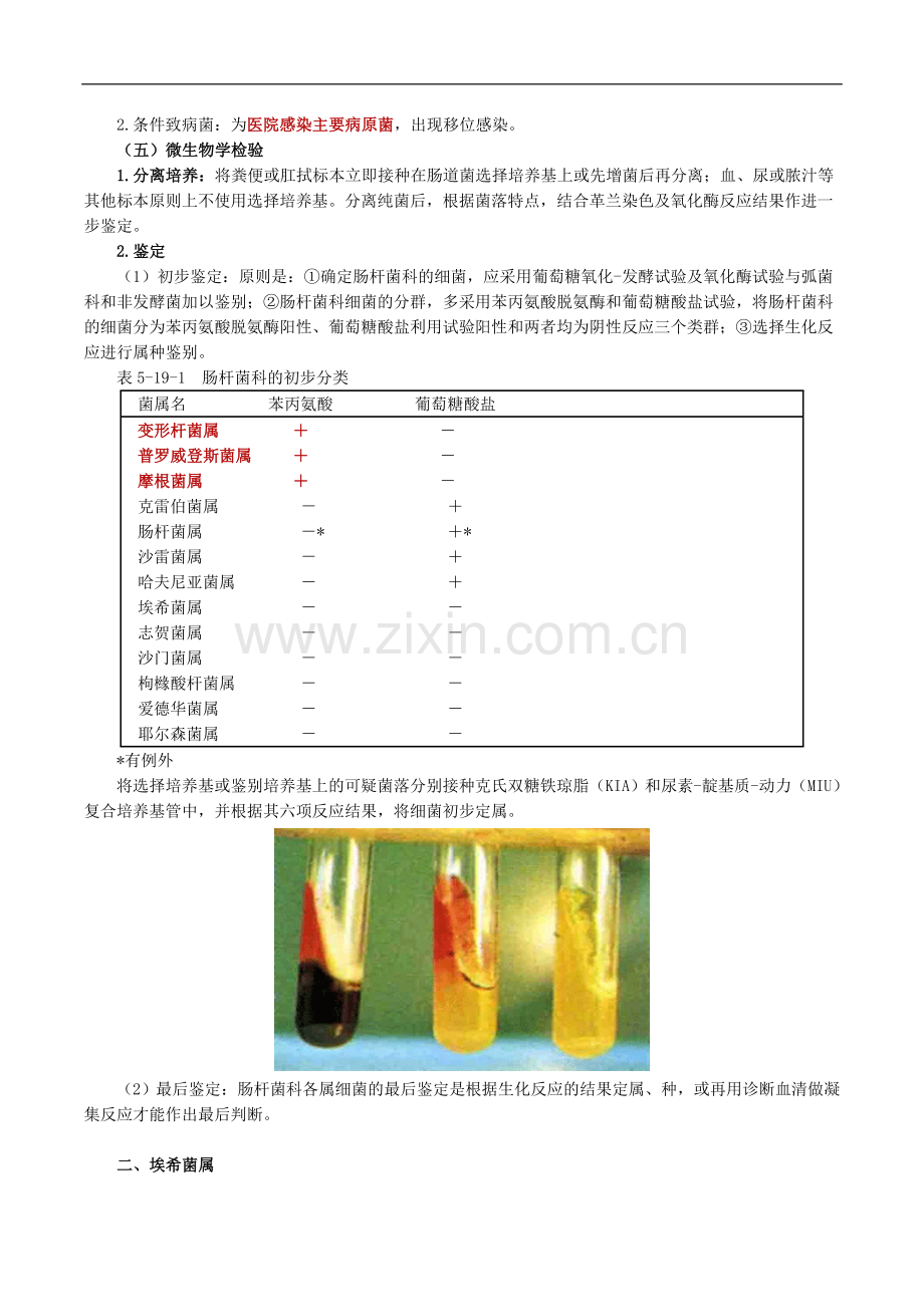 微生物检验肠杆菌科及检验.doc_第2页