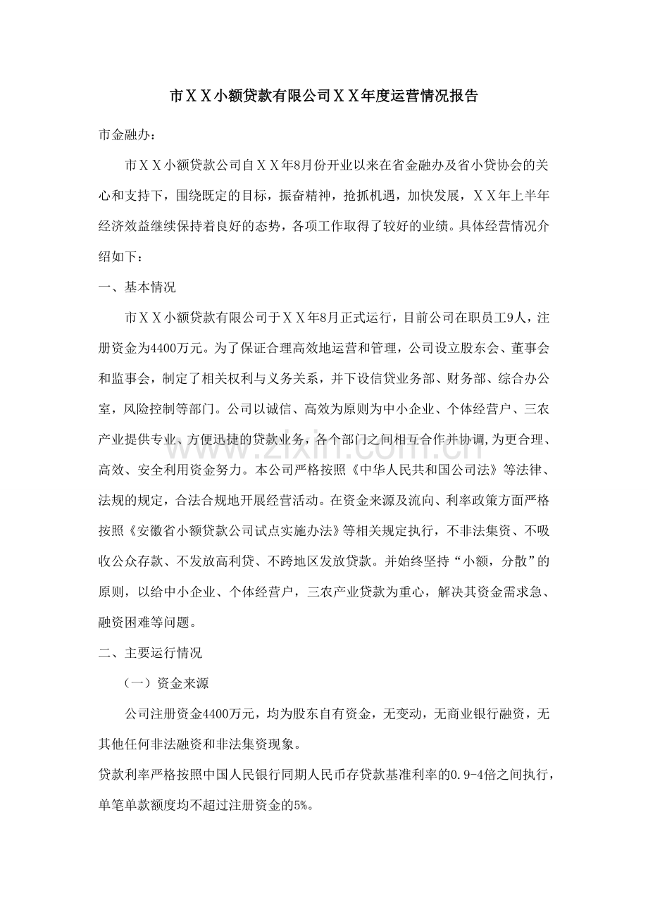 小额贷款有限公司年度运营情况报告.doc_第1页