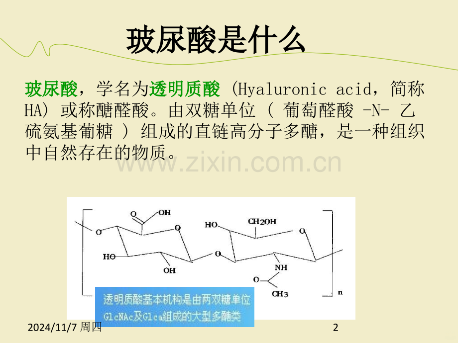 玻尿酸基础知识PPT课件.ppt_第2页