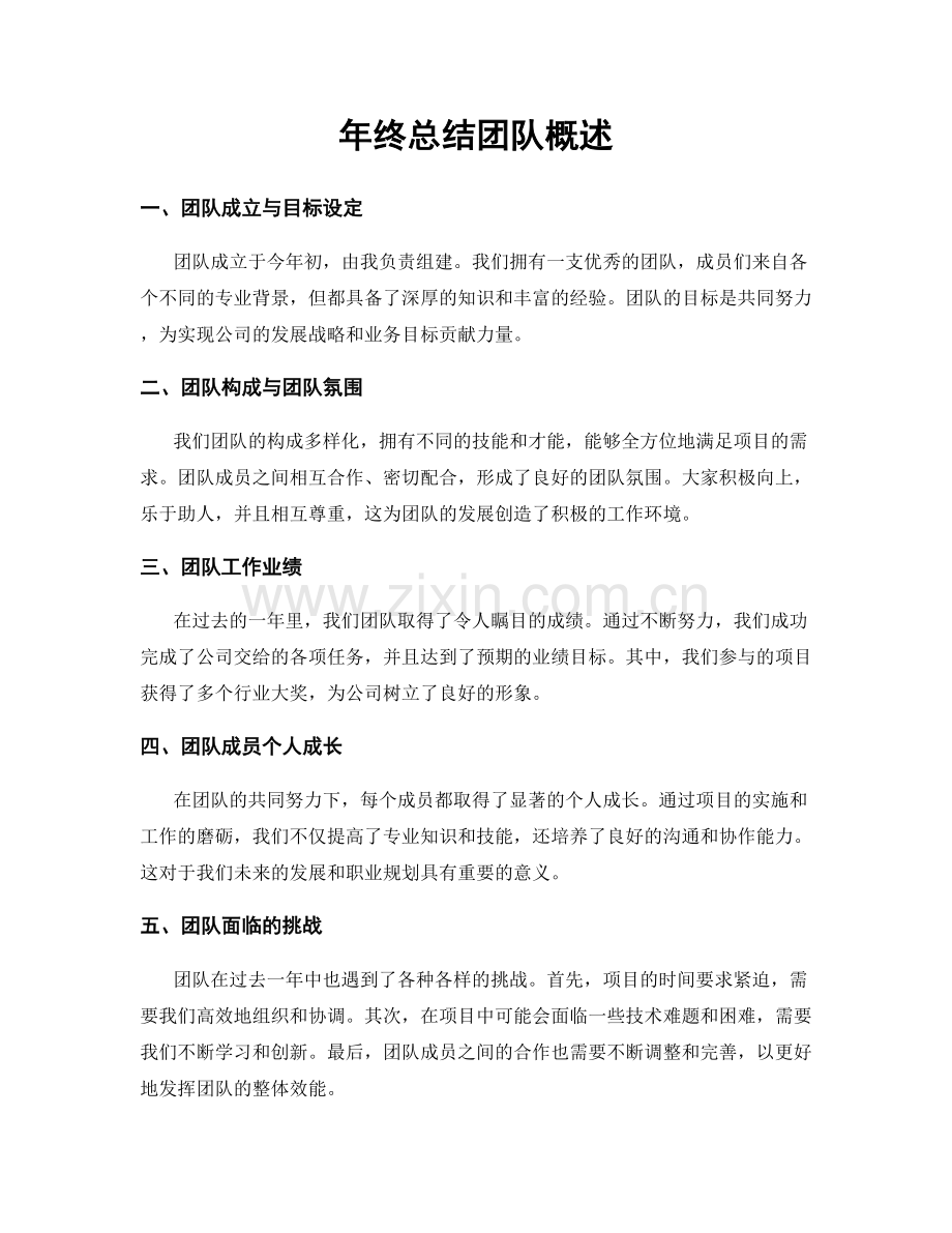 年终总结团队概述.docx_第1页