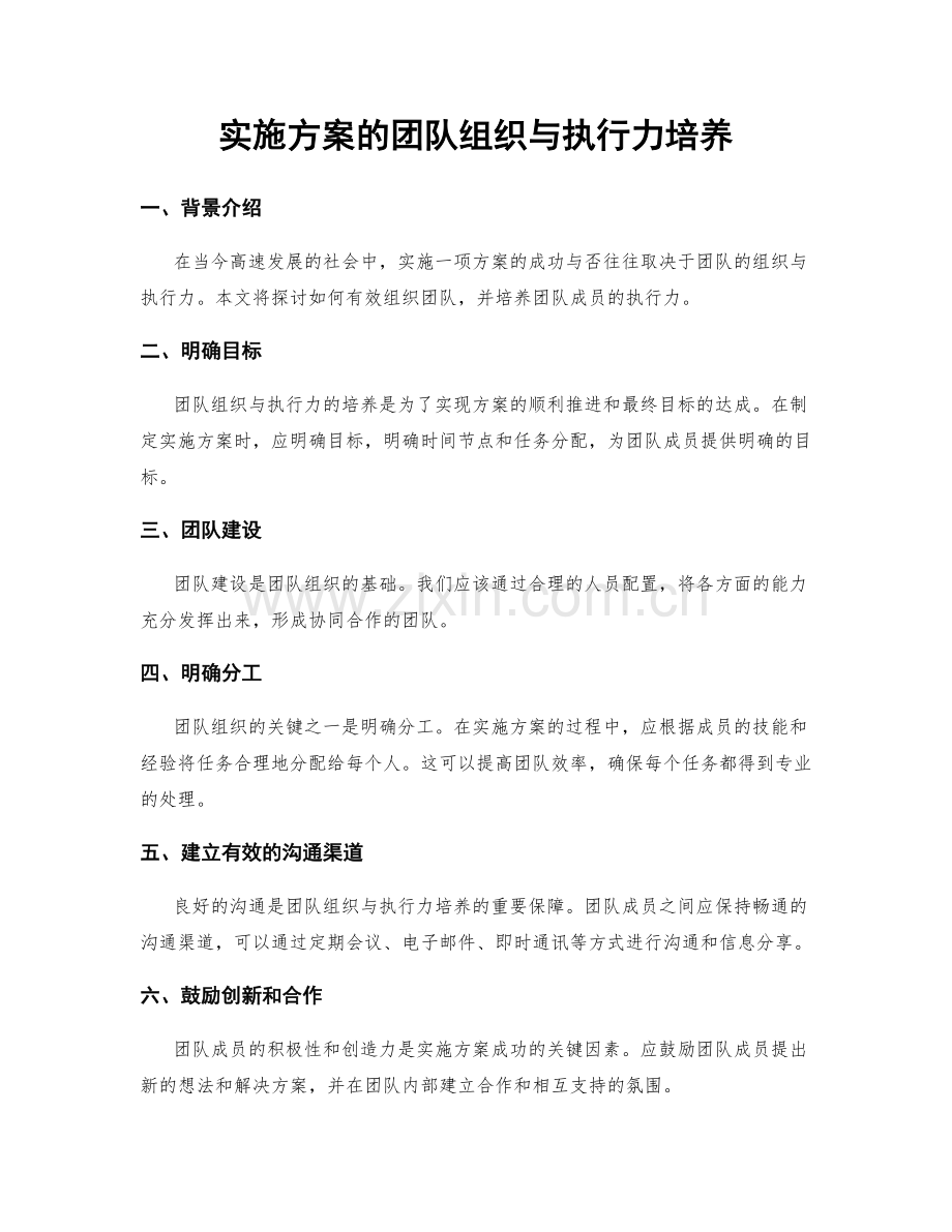 实施方案的团队组织与执行力培养.docx_第1页