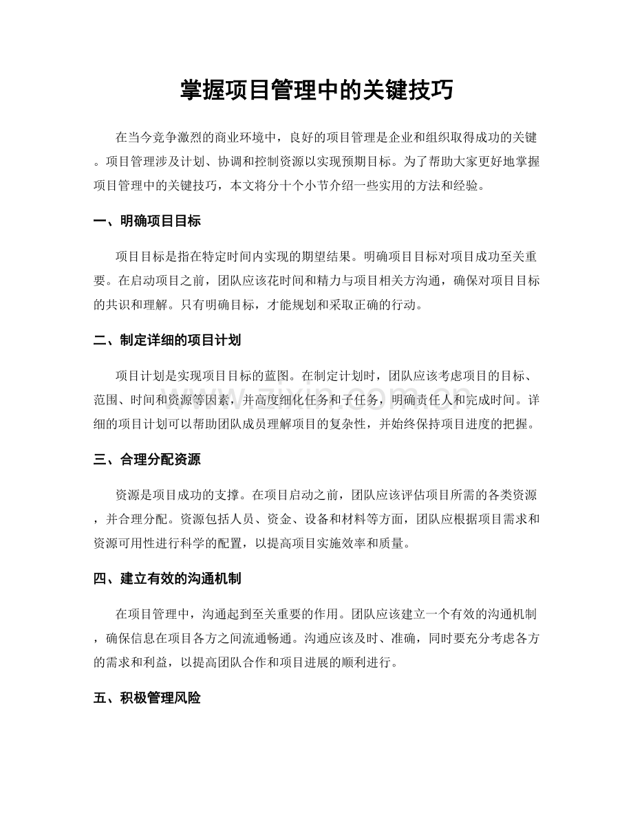 掌握项目管理中的关键技巧.docx_第1页