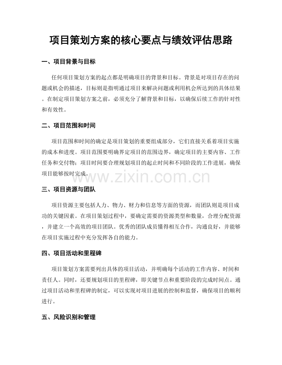 项目策划方案的核心要点与绩效评估思路.docx_第1页