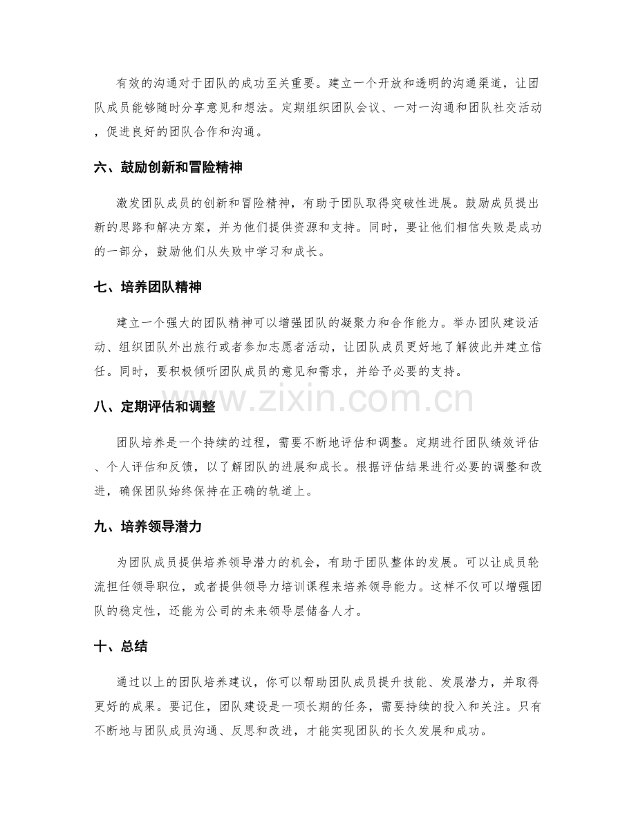 年终总结的团队培养建议.docx_第2页
