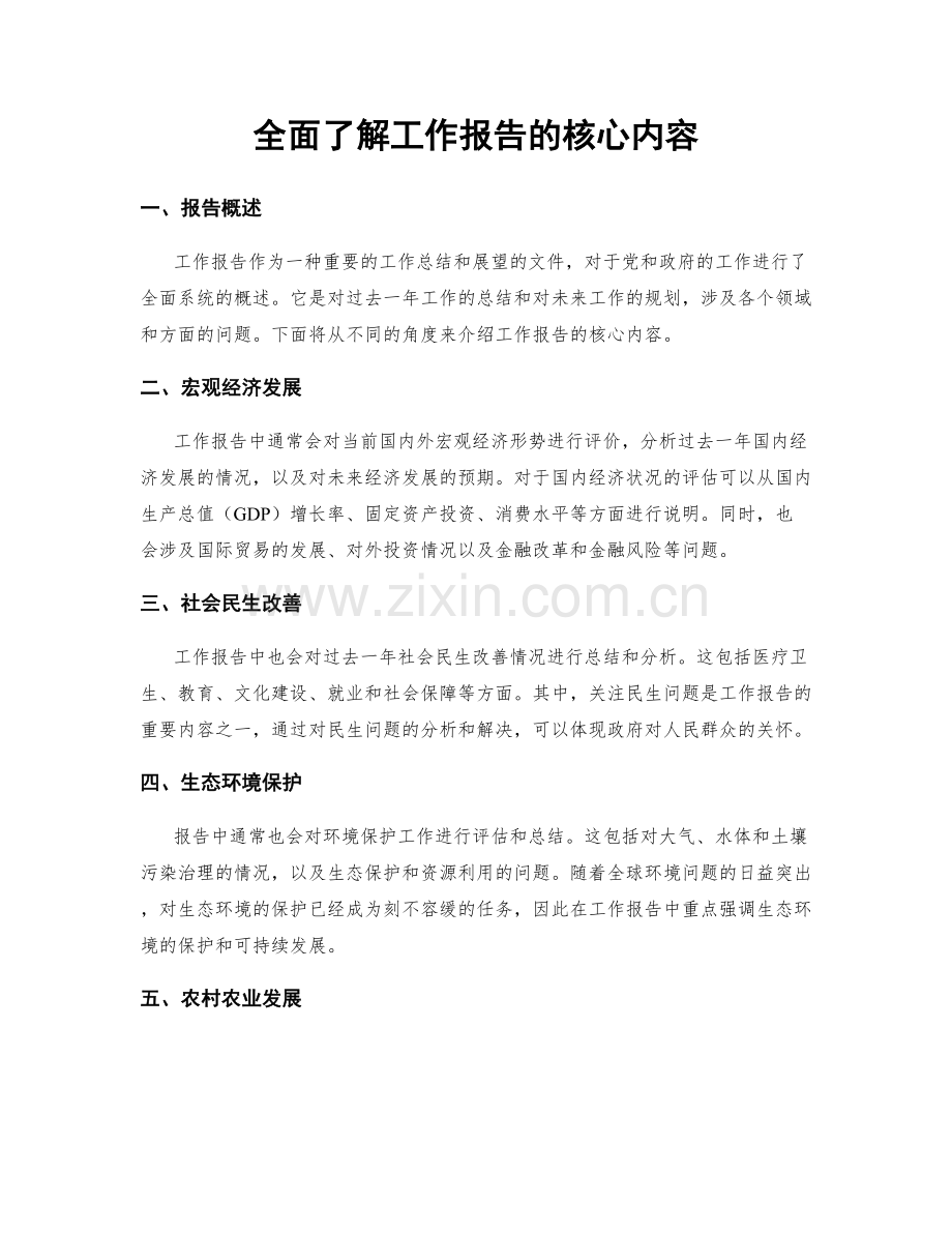 全面了解工作报告的核心内容.docx_第1页