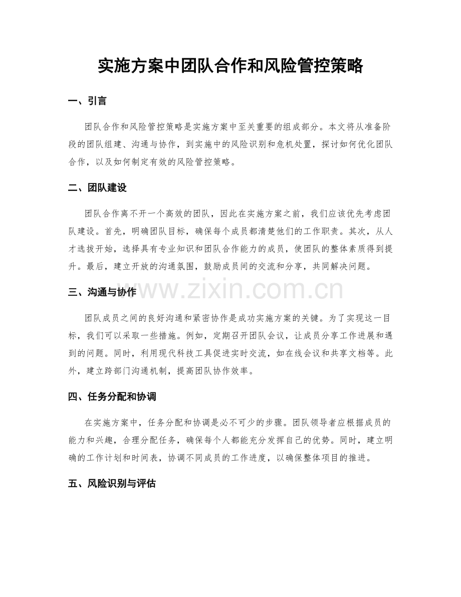 实施方案中团队合作和风险管控策略.docx_第1页