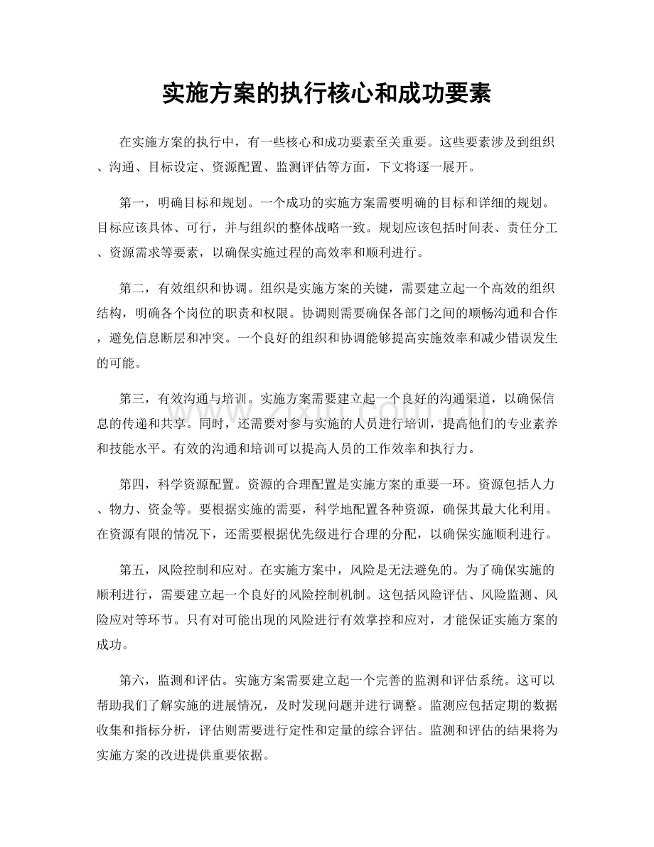 实施方案的执行核心和成功要素.docx_第1页