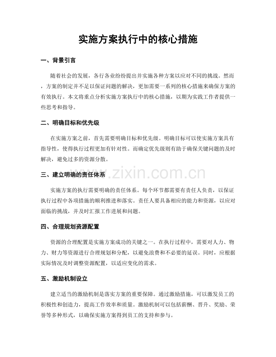 实施方案执行中的核心措施.docx_第1页