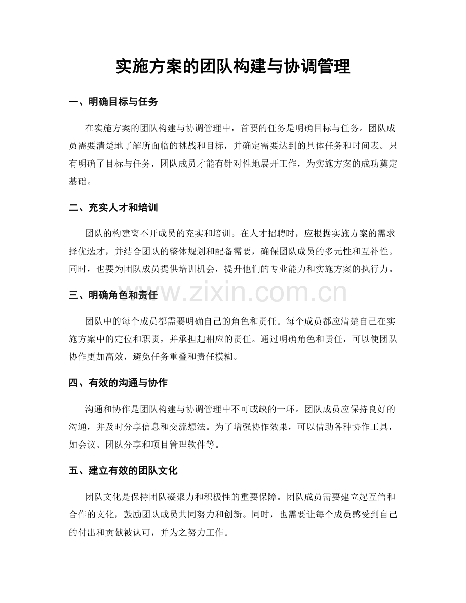 实施方案的团队构建与协调管理.docx_第1页