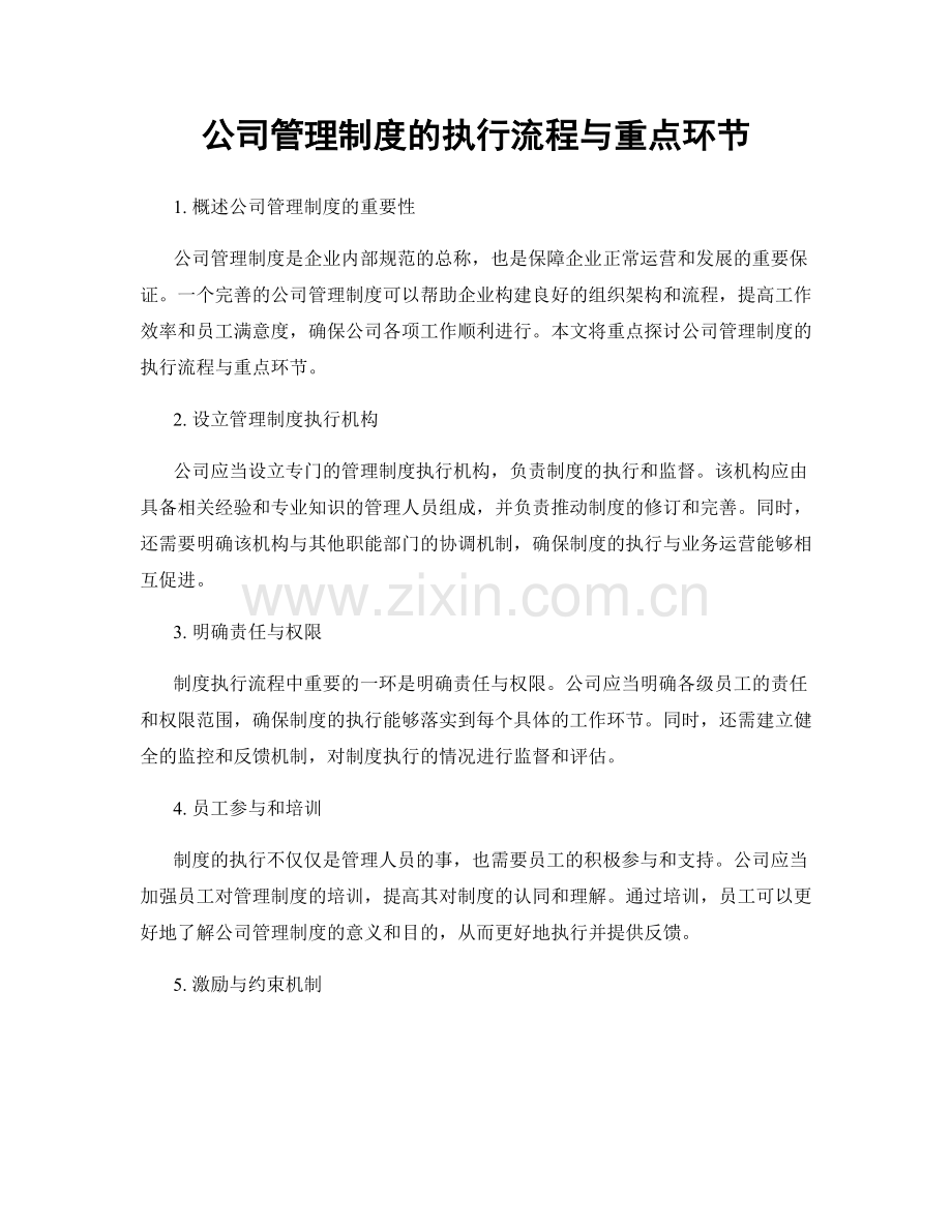 公司管理制度的执行流程与重点环节.docx_第1页