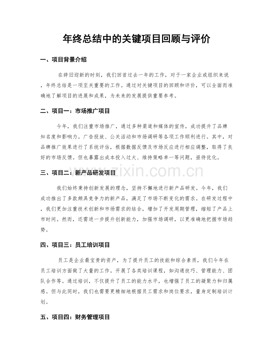 年终总结中的关键项目回顾与评价.docx_第1页