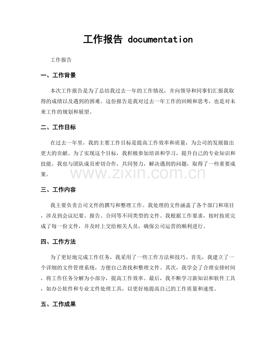 工作报告 documentation.docx_第1页
