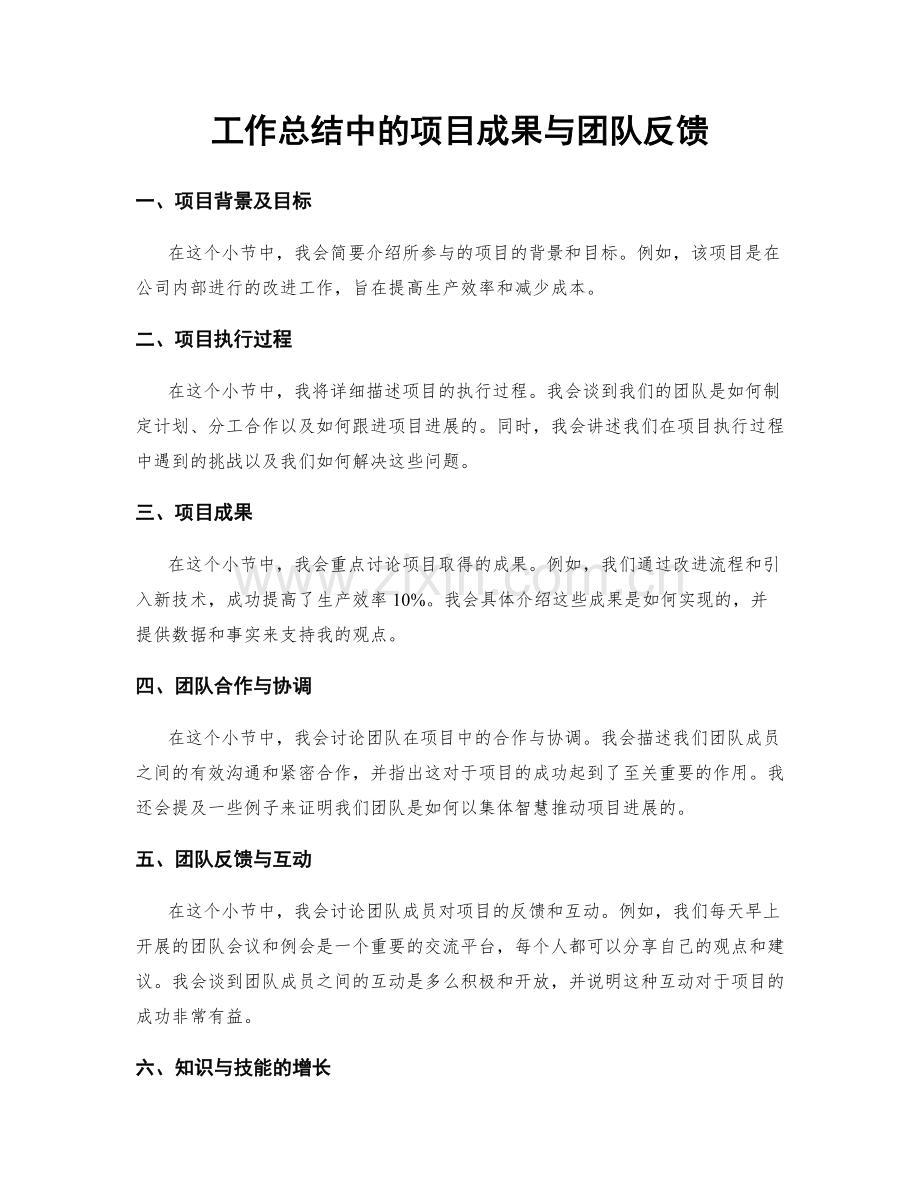 工作总结中的项目成果与团队反馈.docx_第1页