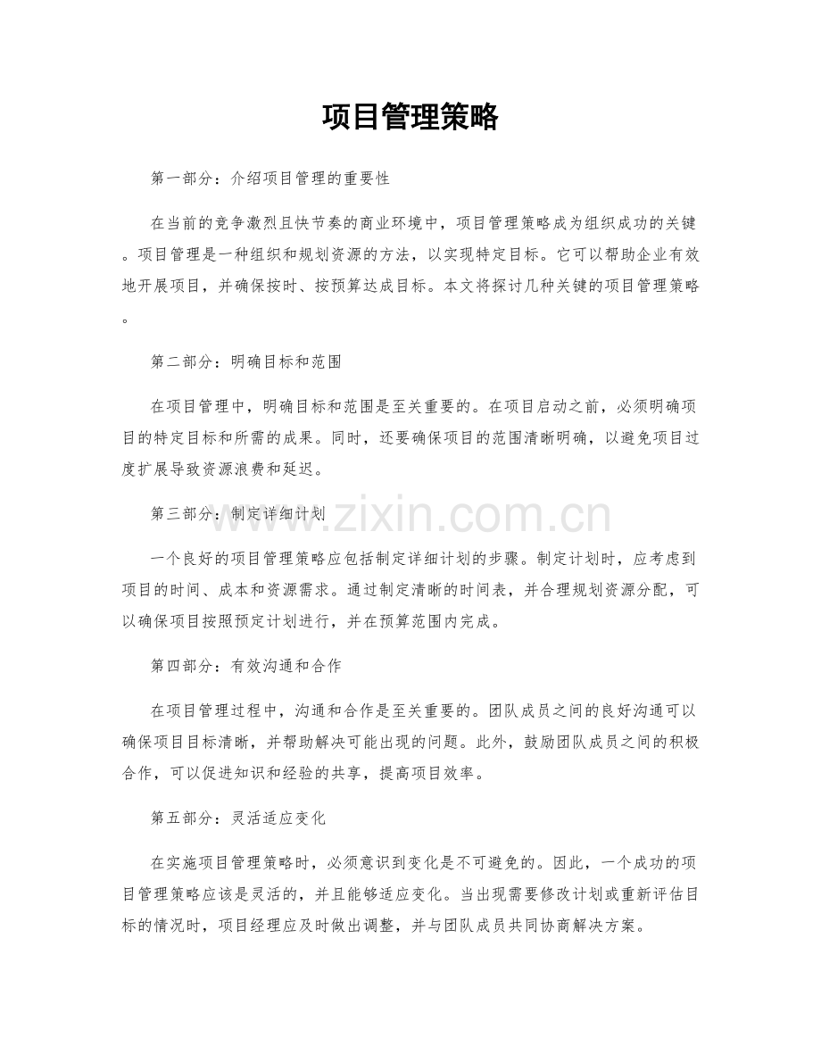 项目管理策略.docx_第1页
