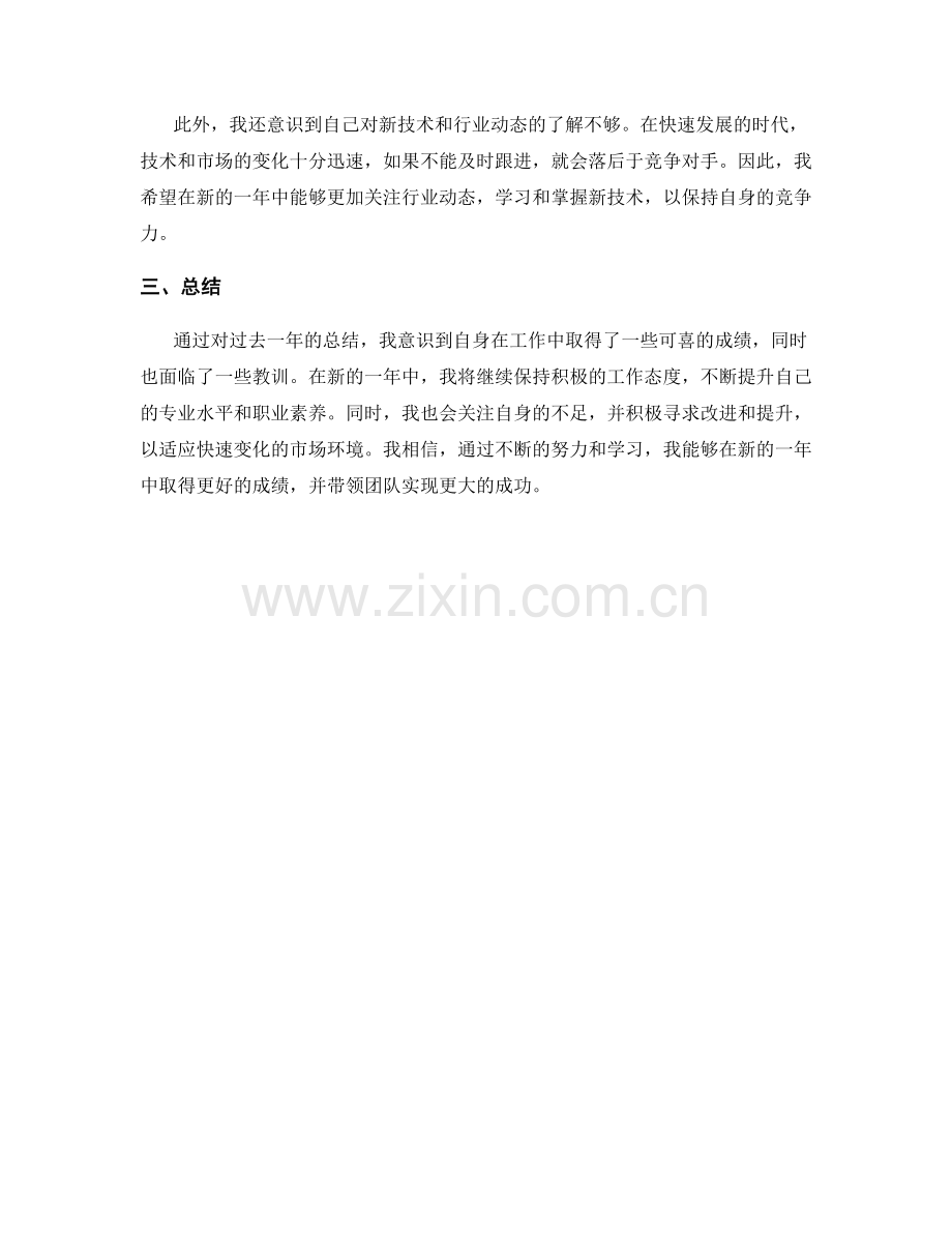 年终总结中的成绩与教训.docx_第2页