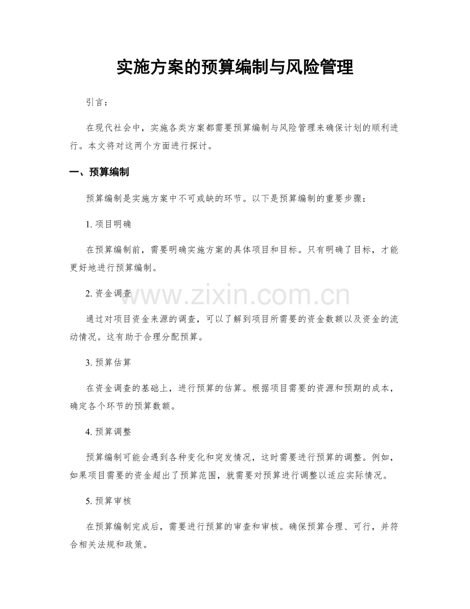 实施方案的预算编制与风险管理.docx_第1页