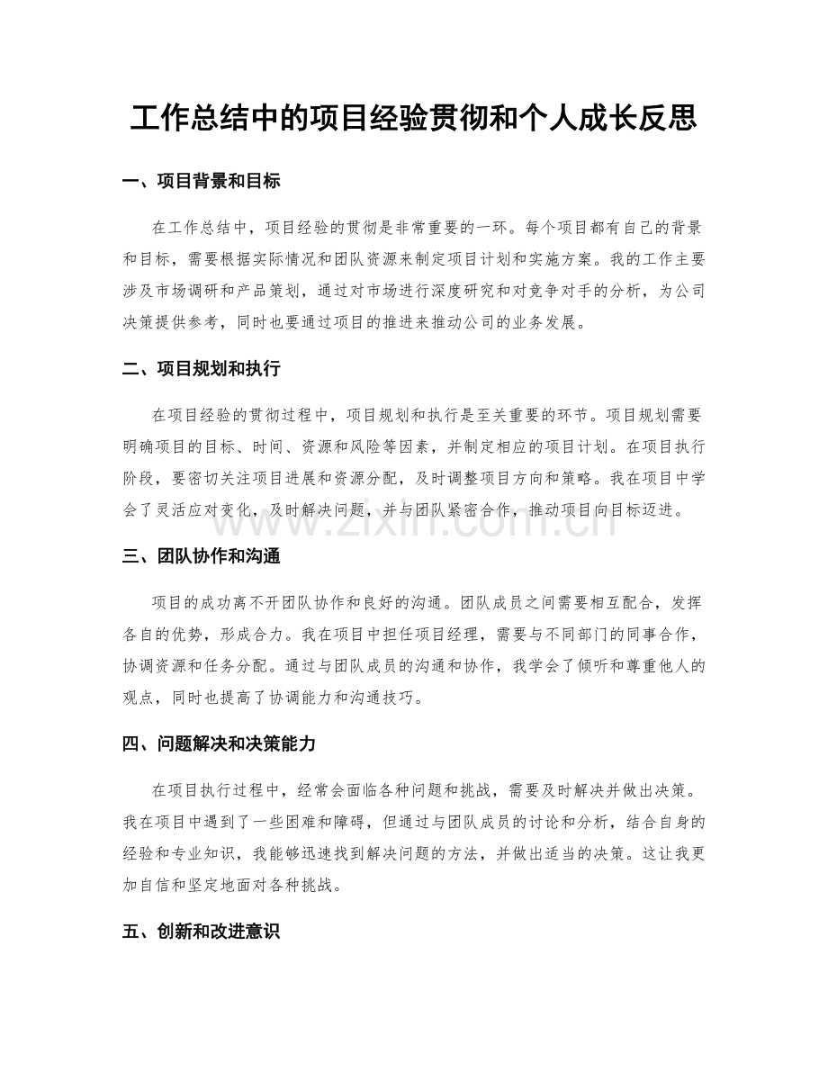 工作总结中的项目经验贯彻和个人成长反思.docx_第1页