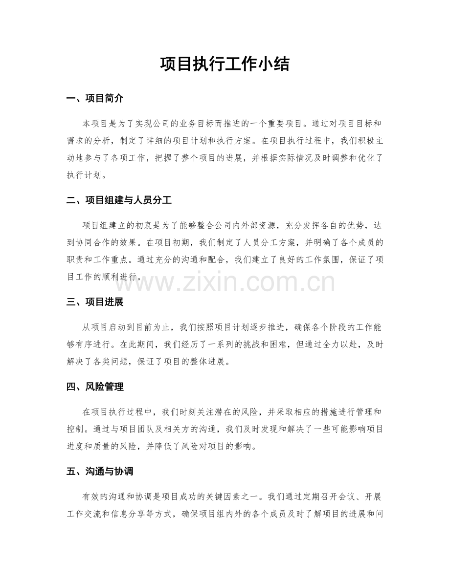 项目执行工作小结.docx_第1页