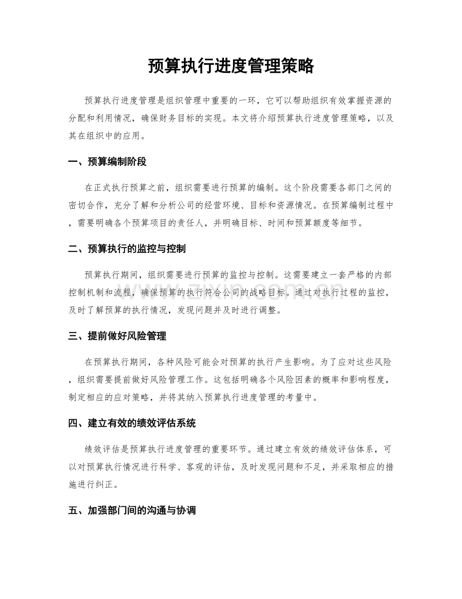 预算执行进度管理策略.docx_第1页