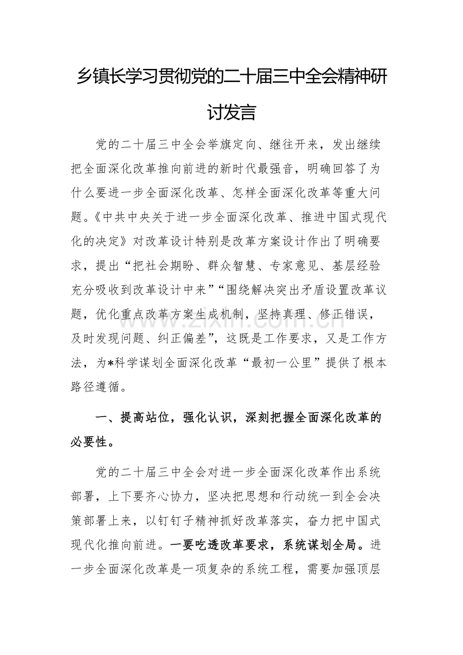 地方领导学习贯彻党的二十届三中全会精神研讨发言范文.docx_第1页