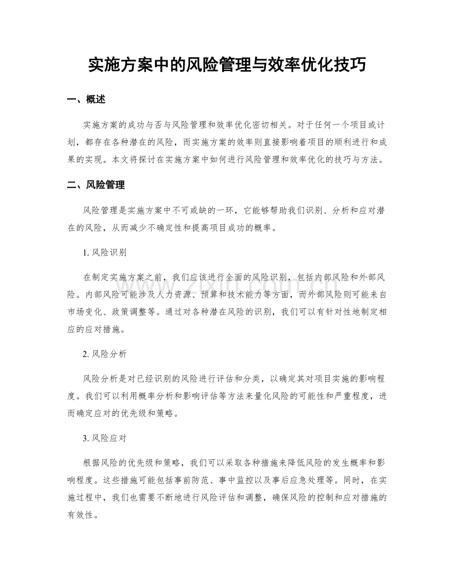 实施方案中的风险管理与效率优化技巧.docx_第1页