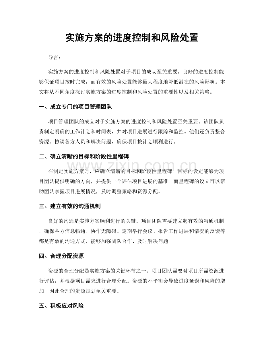 实施方案的进度控制和风险处置.docx_第1页