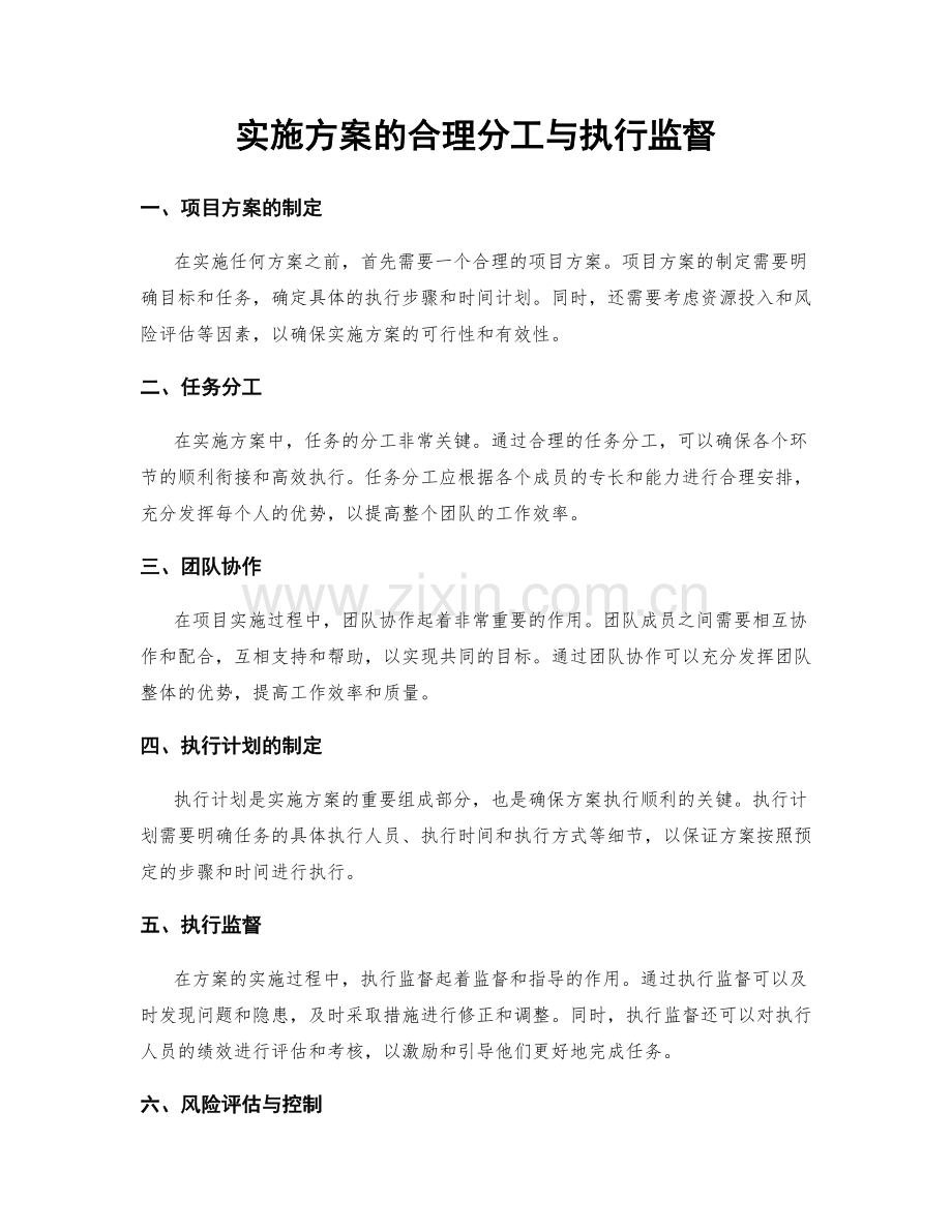 实施方案的合理分工与执行监督.docx_第1页