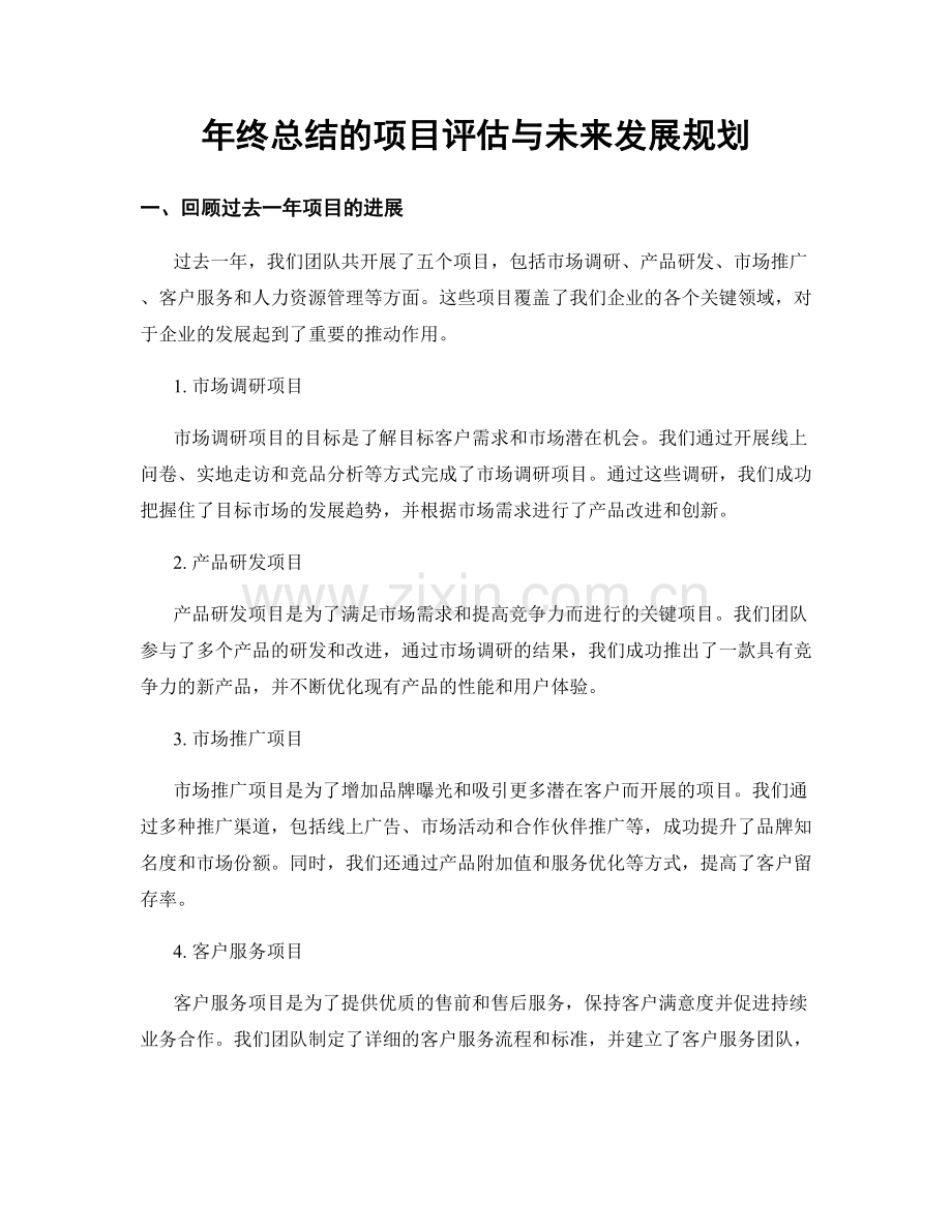年终总结的项目评估与未来发展规划.docx_第1页