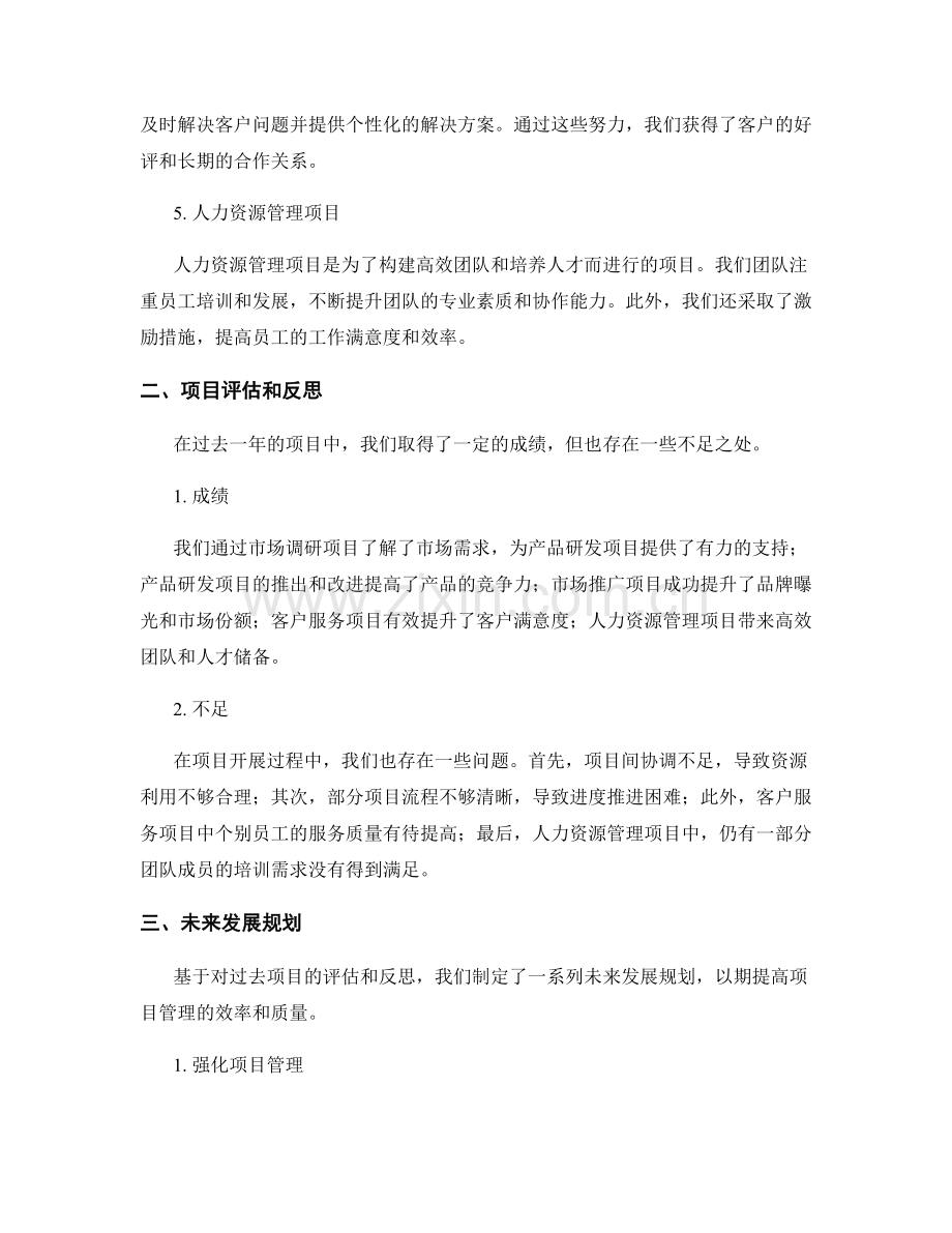 年终总结的项目评估与未来发展规划.docx_第2页