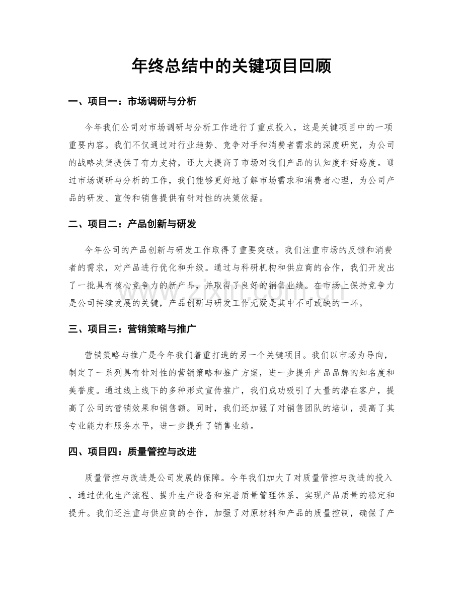 年终总结中的关键项目回顾.docx_第1页