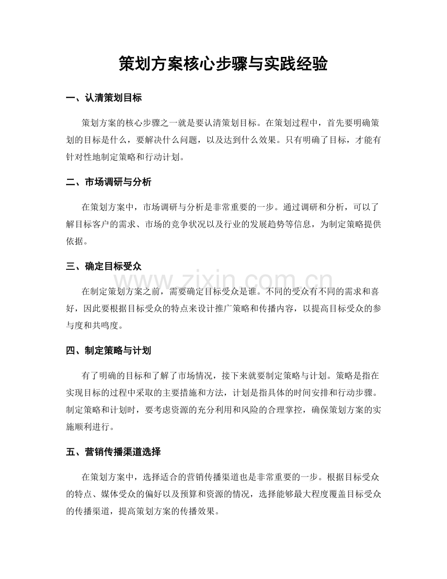 策划方案核心步骤与实践经验.docx_第1页