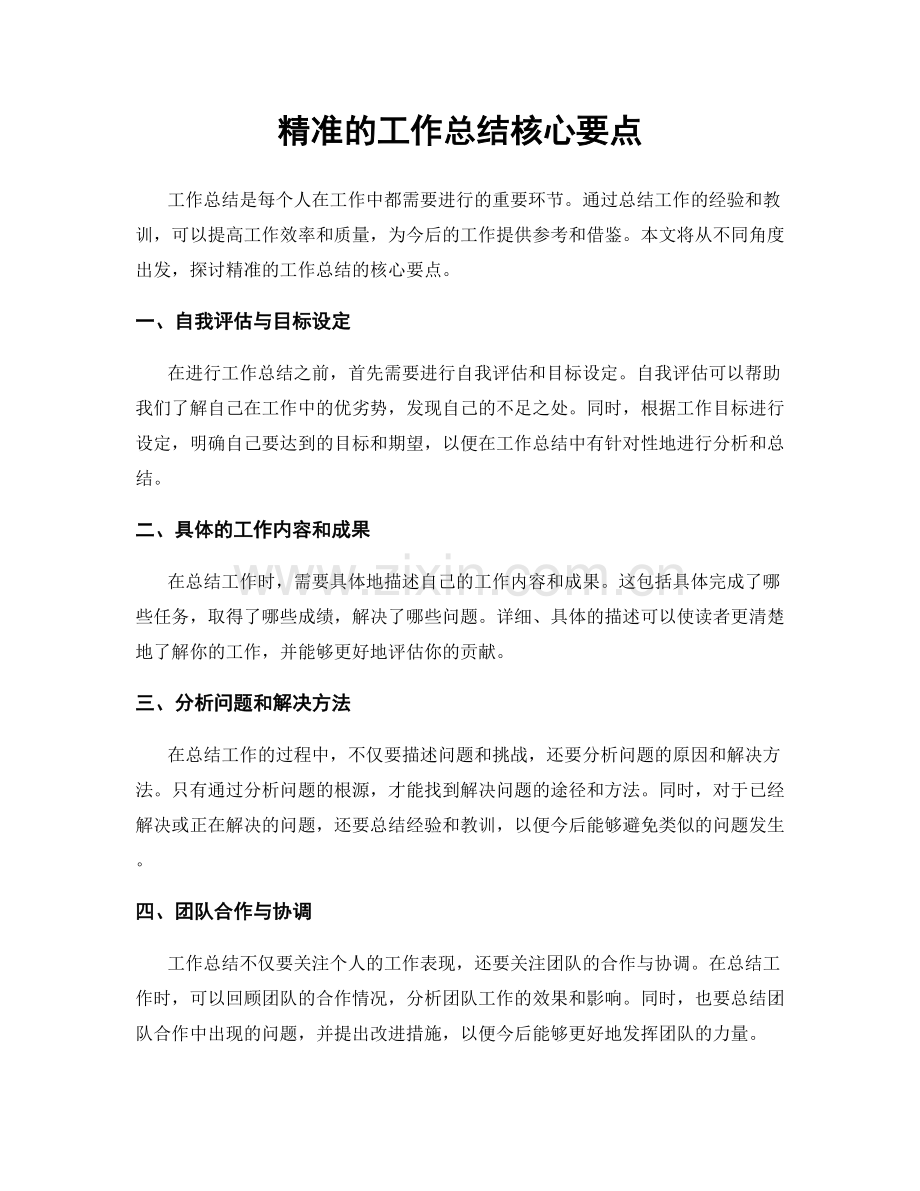 精准的工作总结核心要点.docx_第1页