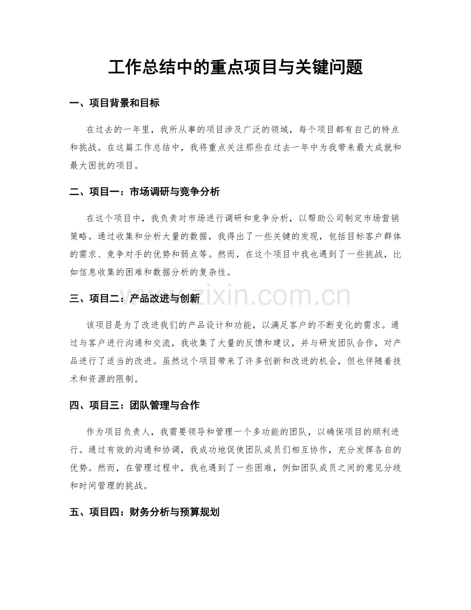 工作总结中的重点项目与关键问题.docx_第1页